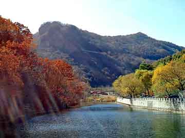 澳门二四六天天彩图库，芥末绿